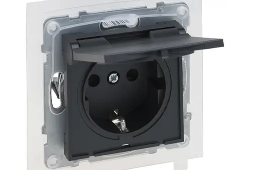 LEGRAND 765424 SCHUKO-Steckdose SEANO mit Klappdeckel, IP44 | anthrazit lackiert