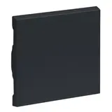 LEGRAND 765406 Wippe für Wechselschalter SEANO 1-fach | anthrazit lackiert