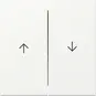 morepic-1