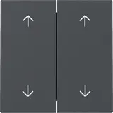 GIRA 329728 Jalousiewippe System 55 2-fach, Mittelstellung | anthrazit