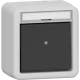 GIRA 311631 Wippschalter Aufputz IP66 Kontrollschalter, Schriftfeld | grau