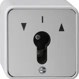 GIRA 016330 Schlüsseltaster WG AP 1-polig | grau