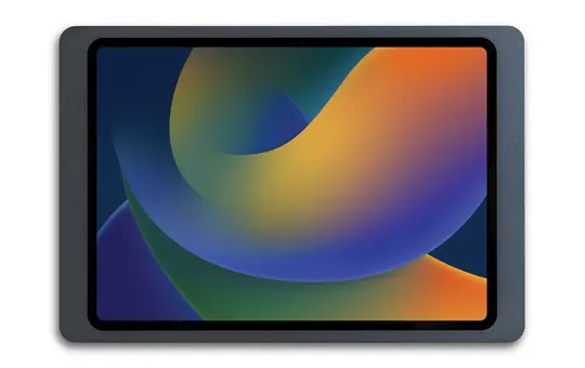 DISPLINE DSP-1-11-1100-06-C Wandhalterung Compan. Wall 2.0 iPad 10,9 Zoll | anthrazit pulverbeschichtet