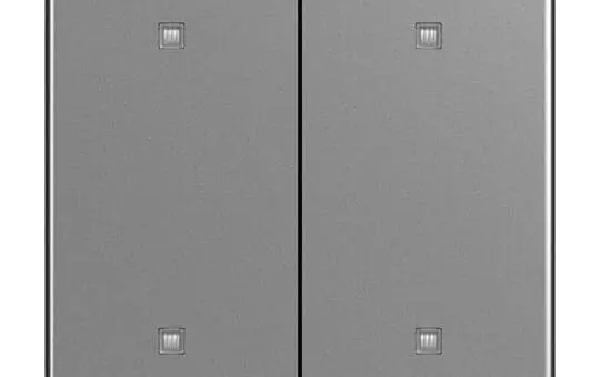BUSCH-JAEGER 2570-20-866 Wippe für Elektroniktaster Future 2-fach | edelstahl