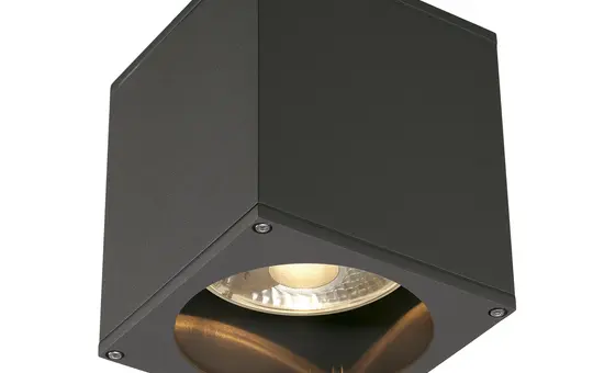 SLV 229555 Outdoor Deckenleuchte BIG THEO QPAR111, IP44, eckig, max. 75 W | anthrazit
