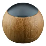 ARDITI LEPUK OA-B Casambi Design-Fernbedienung Standard | eiche/schwarz