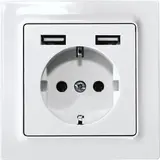 ELTAKO DSS55E+2xUSBA-pg Schutzkontakt-Steckdose mit 2xUSB-A | polarweiß glänzend