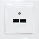 ELTAKO UAE55E/2-pm Netzwerkabdeckung 2-fach | polarweiß matt