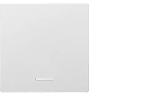 ELTAKO 30055949 Wippe im E-Design55 für Funktaster 55x55 mm | reinweiß glänzend