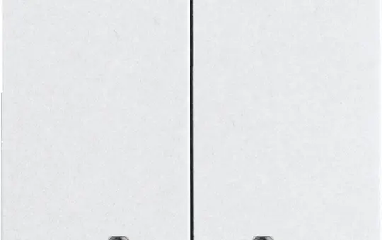 ELTAKO 30055929 Doppelwippe im E-Design55 ungraviert, für Bustaster | reinweiß glänzend