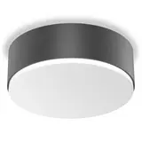 STEINEL 085308 Innenleuchte RS PRO A10 SC neutralweiß (4000K) | anthrazit