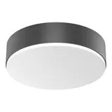 STEINEL 085339 Innenleuchte RS PRO A20 SC warmweiß (3000K) | anthrazit