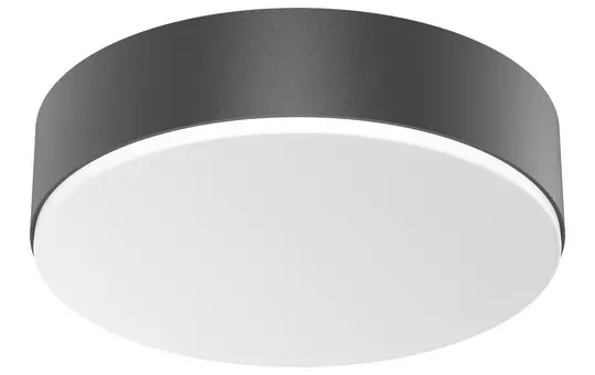 STEINEL 085339 Innenleuchte RS PRO A20 SC warmweiß (3000K) | anthrazit
