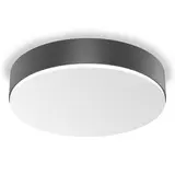 STEINEL 085346 Innenleuchte RS PRO A30 SC neutralweiß (4000K) | anthrazit
