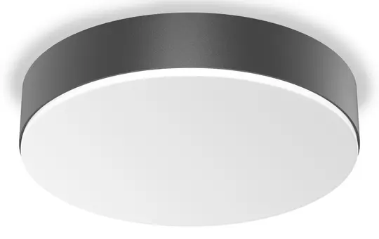 STEINEL 085353 Innenleuchte RS PRO A30 SC warmweiß (3000K) | anthrazit