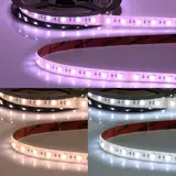 ISOLED 114685 LED-Strip RGB+TW 5 m Rolle 19 W/m, 2500-6500 K, IP68