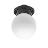 THPG 101323 Deckenleuchte Kugel LISILUX S, opal | schwarz