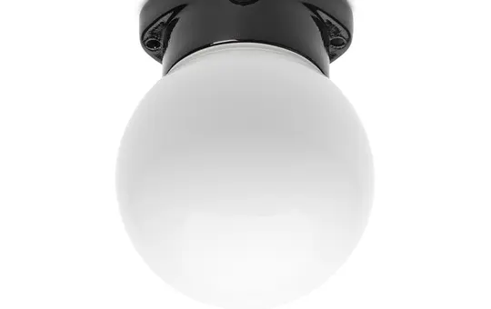 THPG 101323 Deckenleuchte Kugel LISILUX S, opal | schwarz