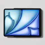 DISPLINE DSP-2-13-1130-12-C Wandhalterung Dame Wall Home 2.0 iPad Air 13 Zoll | schwarz eloxiert