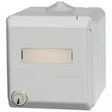 MENNEKES 4976 Capex-SCHUKO-Wandsteckdose 16 A, 2-polig+PE, 230 V, Schriftfeld, Schloss | lichtgrau