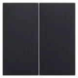 LINGG&JANKE 87815-SW Wippe für Tastsensor 2-fach | schwarz