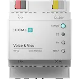 1Home Server Voice & Visu