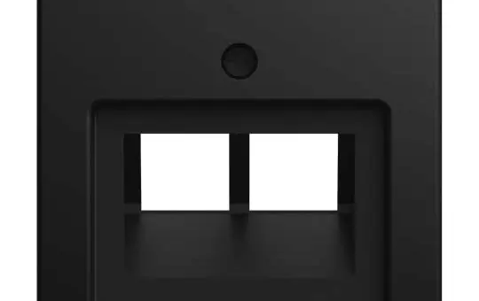BUSCH-JAEGER 1803-02-915 Netzwerkabdeckung Balance SI 2-fach | schwarz matt