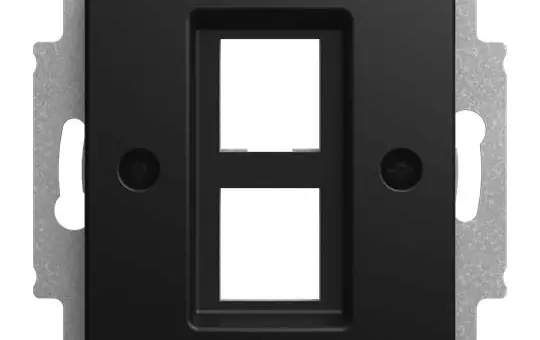 BUSCH-JAEGER 2561-02-915 UAE-Zentralscheibe Balance SI 2-fach | schwarz matt