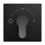 BUSCH-JAEGER 2557SLPZ-915-101 Schlüsselschalter Balance IO | schwarz matt