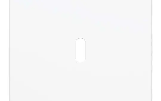 BUSCH-JAEGER 6479-914 Zentralscheibe Ladestation Balance SI 1-fach, USB-C | alpinweiß