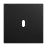 BUSCH-JAEGER 6479-915 Zentralscheibe Ladestation Balance SI 1-fach, USB-C | schwarz matt