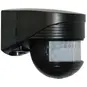 morepic-1
