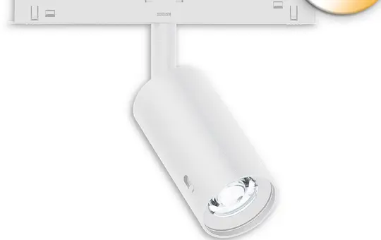 ISOLED 117087 DALI-Schienenstrahler für Track48 NV 8 W, ColorSwitch, 18-50° | weiß