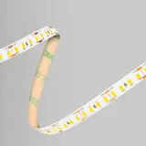 BARTHELME 51541434 LED-Strip BASIC 160 48 W, 4000 K | 5 m
