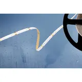 BARTHELME 51542927 LED-Strip BASIC CSP 480 14,4 W/m, typ. 2700 K, IP54 | 5 m