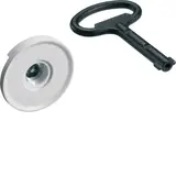 HAGER FZ449N Schließung Doppelbart 3 mm, 1 Schlüssel, für Schrank IP44/54