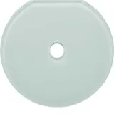 HAGER WTD7671GWG Glasabdeckplatte Serie Glas für Drehschalter/-taster, Endplatte | polarweiß