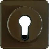 HAGER WWF1312BR Schlüsselschalterabdeckung UP IP44 Schalter/Taster | braun glänzend