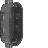 HAGER WZA1300 Einbaudose System TS 2-fach | schwarz glänzend