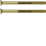 HAGER WZA9092 Zweilochschrauben System TS 2 x M3,5 x 50 mm | gold glänzend