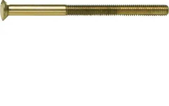 HAGER WZA9092 Zweilochschrauben System TS 2 x M3,5 x 50 mm | gold glänzend