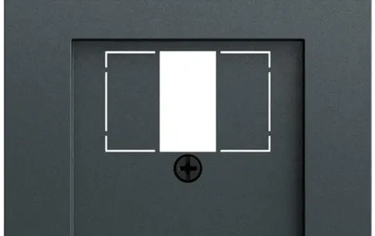GIRA 087673 Telefonabdeckung System 70 Schriftfeld | anthrazit
