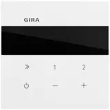 GIRA 232072 Unterputz-Radio IP System 70 reinweiß seidenmatt