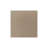 ZENNIO 830002804 Blende ZS55 champagner