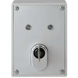 ABUS SE1000 AP-Schlüsselschalter Terxon Standard