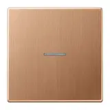 JUNG BTBRG17101 Tastsensor HOME Serie LS 1-fach | bronze gebürstet