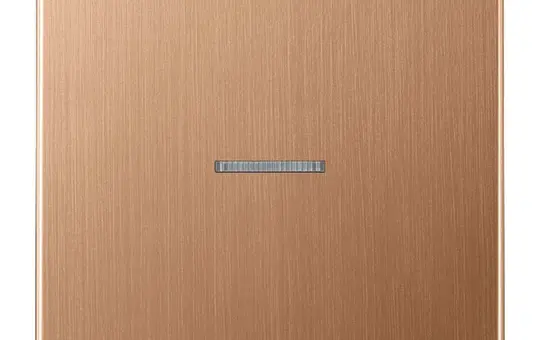JUNG BTBRG17101 Tastsensor HOME Serie LS 1-fach | bronze gebürstet