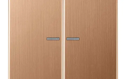 JUNG BTBRG17102 Tastsensor HOME Serie LS 2-fach | bronze gebürstet