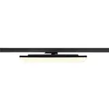 SLV 1009150 3~ DALI Spot SIGHT PANEL 3000 K, 65 W, 70° | schwarz