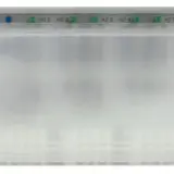 MÖHLENHOFF 130546 Basisstation Alpha 6 Zonen, Pumpen- & Boilersteuerung